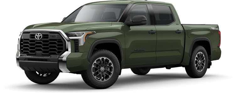 2022 Toyota Tundra SR5 in Army Green | Bruner Toyota Early in Early TX